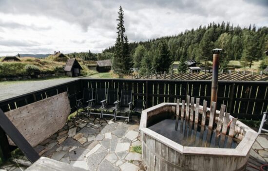 pexels-pavel-danilyuk-7119038