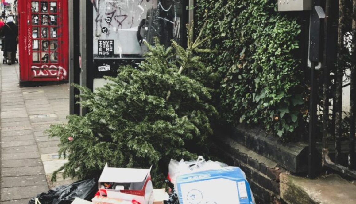 A pile of old holiday decorations and unwanted items, including Christmas trees, stacked outside a Broomfield home, ready for professional junk removal.