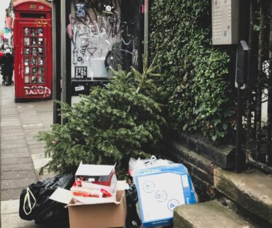 A pile of old holiday decorations and unwanted items, including Christmas trees, stacked outside a Broomfield home, ready for professional junk removal.
